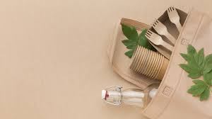 Transitioning to a Plastic-Free Life: A Practical Guide