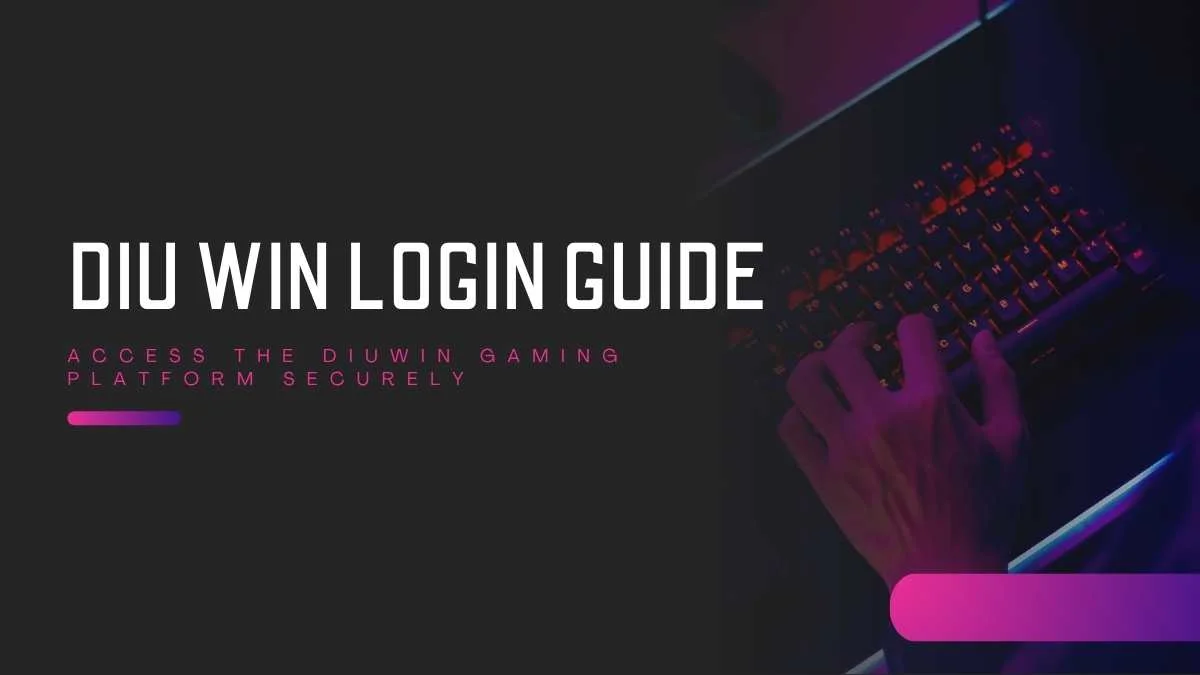 Diuwin User Experience: What You Need to Know