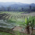 Agriculture & Farming