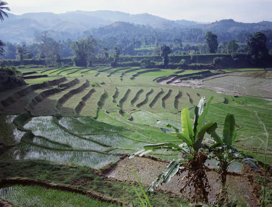 Modern Agricultural Innovation and Smart Farming Adoption in Developing Regions